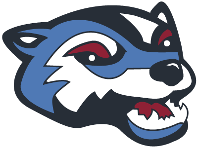 David E. Walker Wolverines PTA
